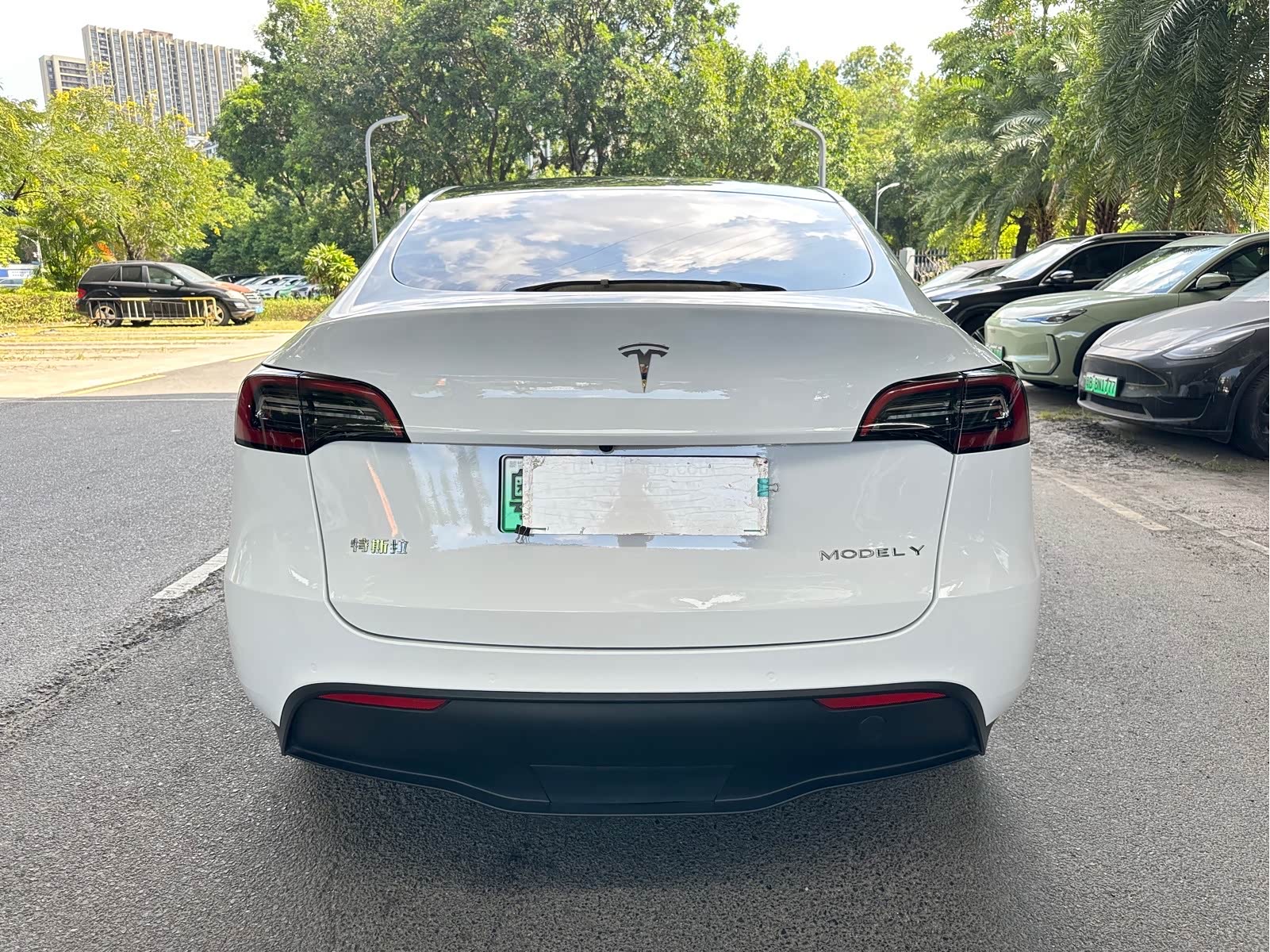 Tesla Model Y 2023 car image #4