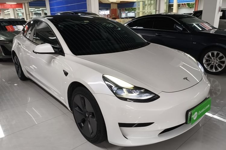Tesla Model 3 2021 immagine di auto #4