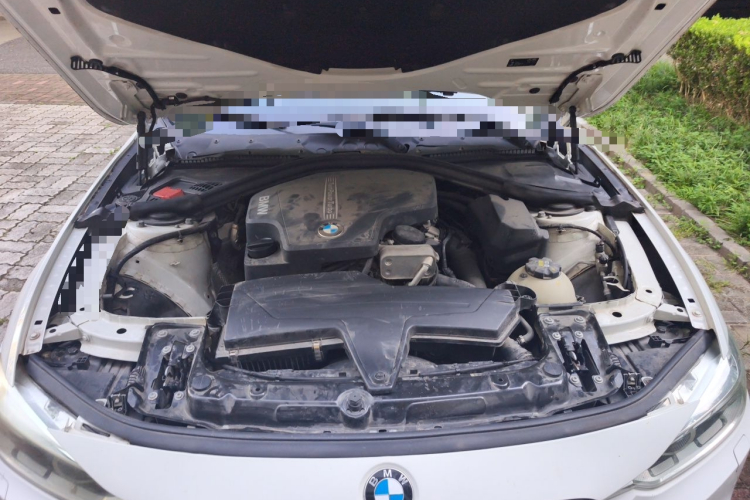 BMW 3 Series 2016 car image #18