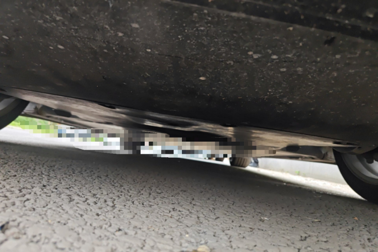 Tesla Model 3 2023 car image #30