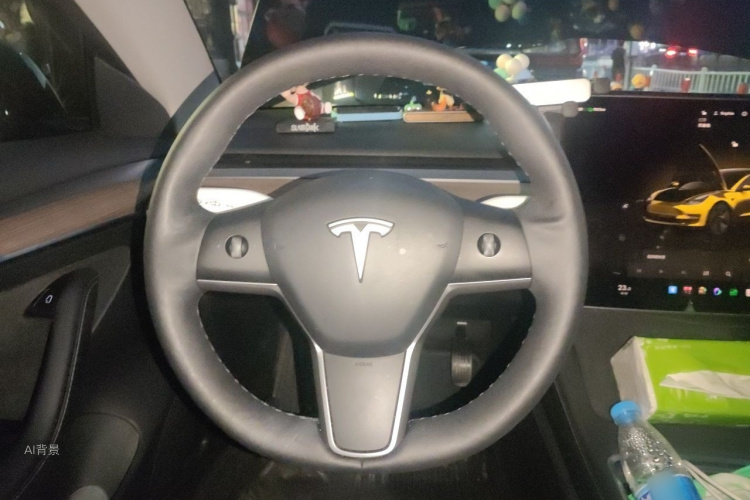 Tesla Model 3 2022 #12 Tesla Model 3 2022 car image #12