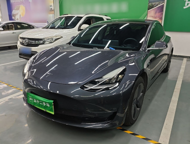 Tesla Model 3 2020 Tesla Model 3 2020 immagine di auto