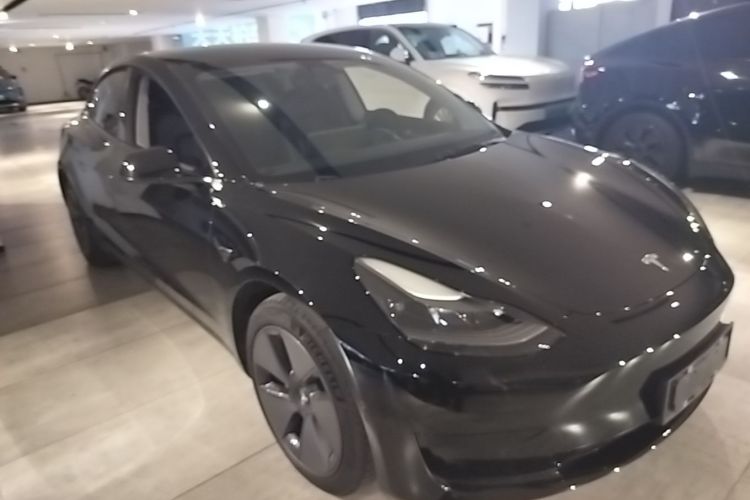 Tesla Model 3 2021 car image #4