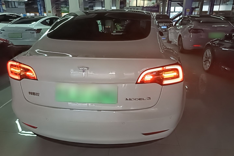 Tesla Model 3 2023 #6 Tesla Model 3 2023 car image #6