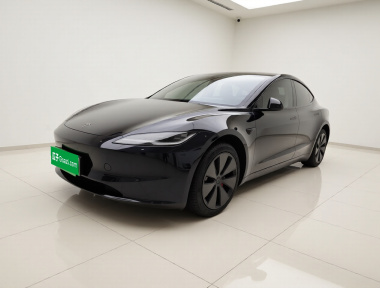 Tesla Model 3 2024 Tesla Model 3 2024 immagine di auto