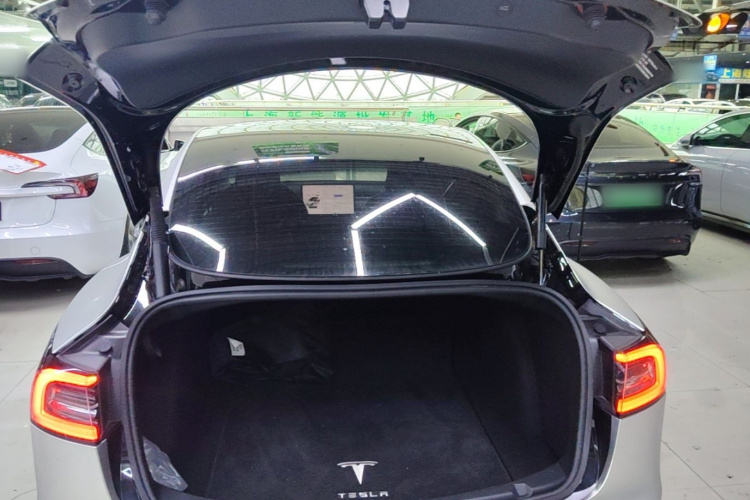 Tesla Model 3 2022 #19 Tesla Model 3 2022 immagine di auto #19