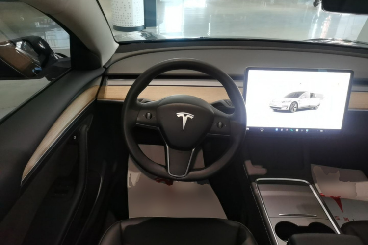 Tesla Model 3 2022 immagine di auto #11