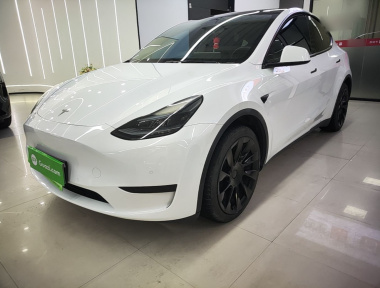 Tesla Model Y 2022 Tesla Model Y 2022 car image