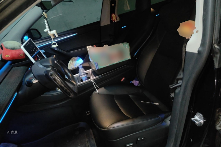 Tesla Model Y 2021 car image #17
