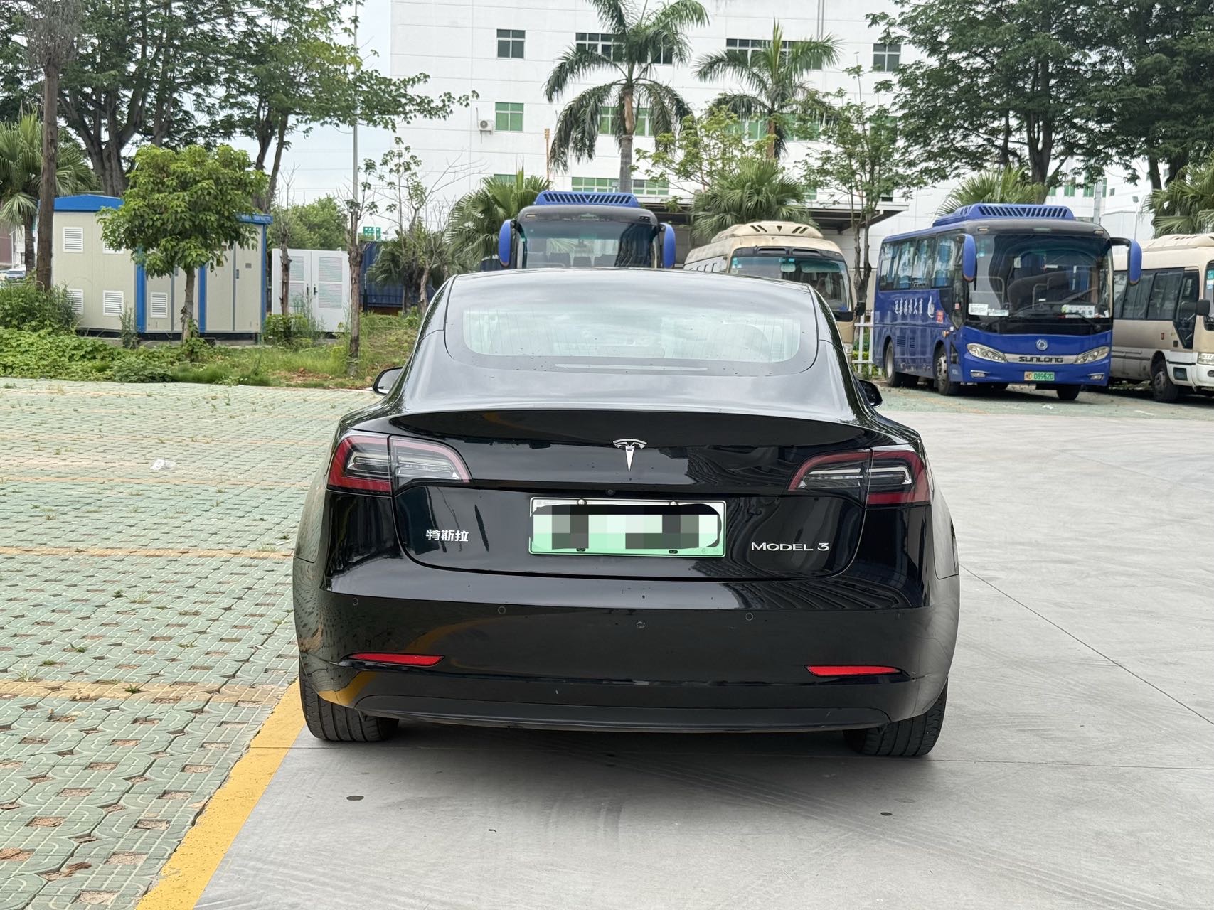 Tesla Model 3 2020 #8 Tesla Model 3 2020 car image #8
