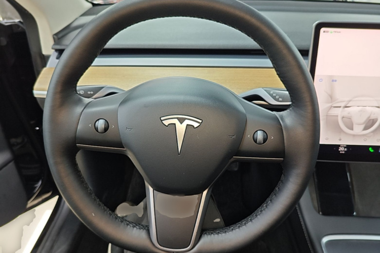 Tesla Model 3 2023 car image #15