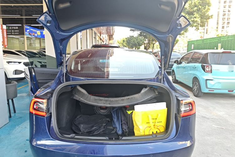 Tesla Model 3 2020 car image #19