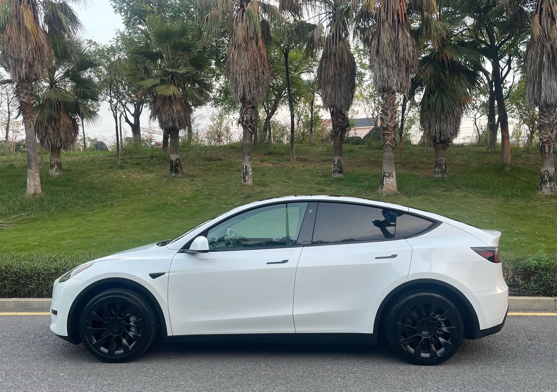 Tesla Model Y 2023 #3 Tesla Model Y 2023 car image #3