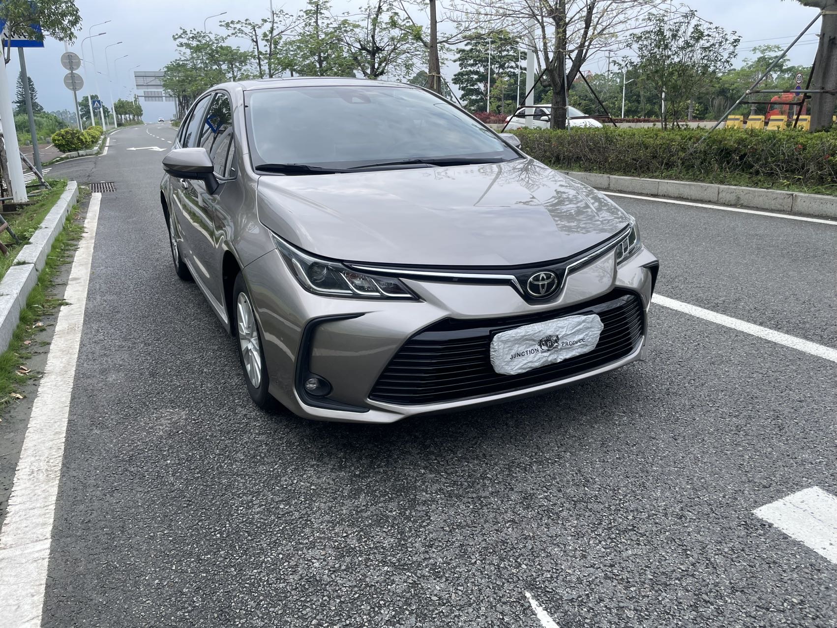 Toyota Corolla 2019 Toyota Corolla 2019 car image