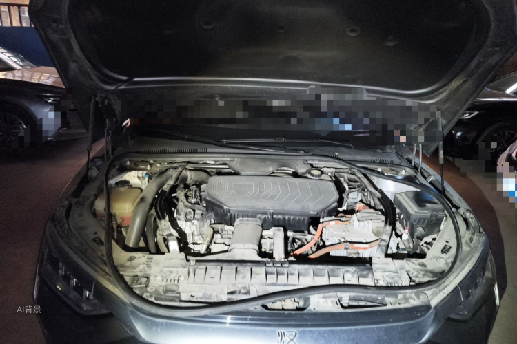 BYD Han 2020 immagine di auto #22