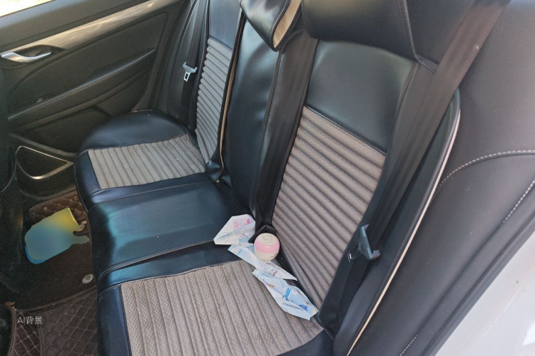 GEELY Emgrand 2020 car image #19