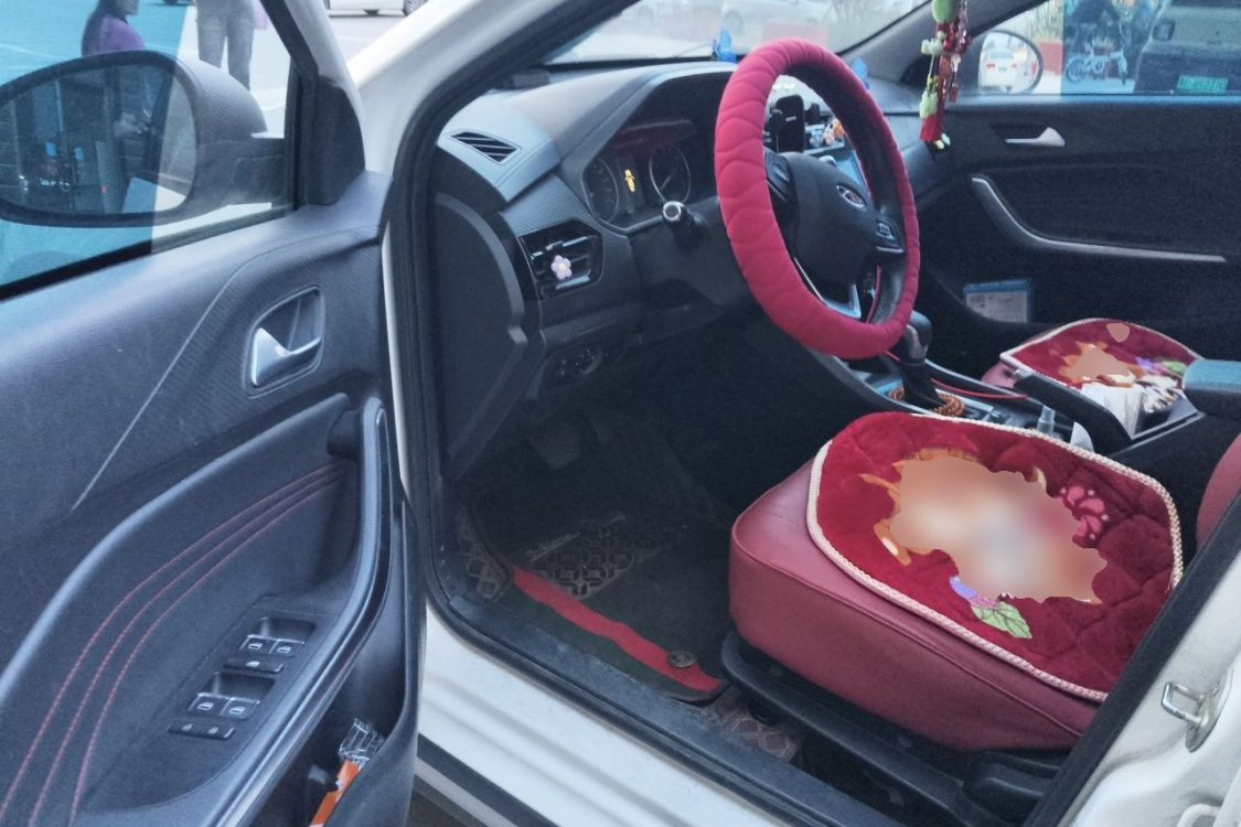 Chery Tiggo 3x 2021 #23 Chery Tiggo 3x 2021 car image #23