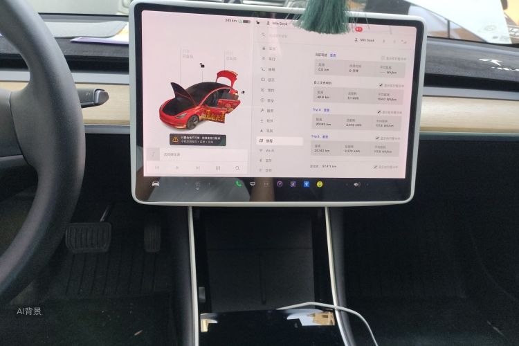 Tesla Model 3 2020 car image #15