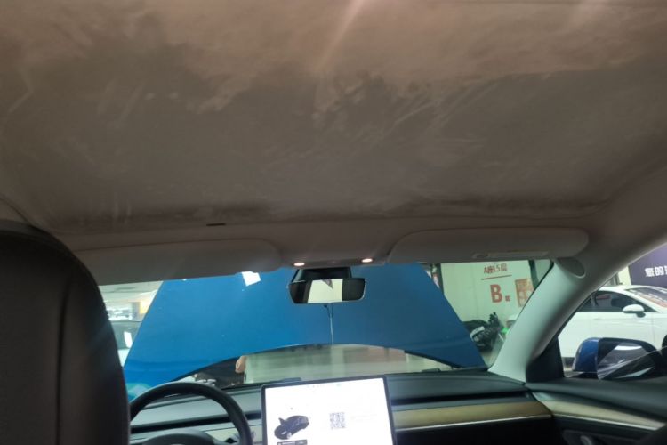 Tesla Model 3 2021 car image #18