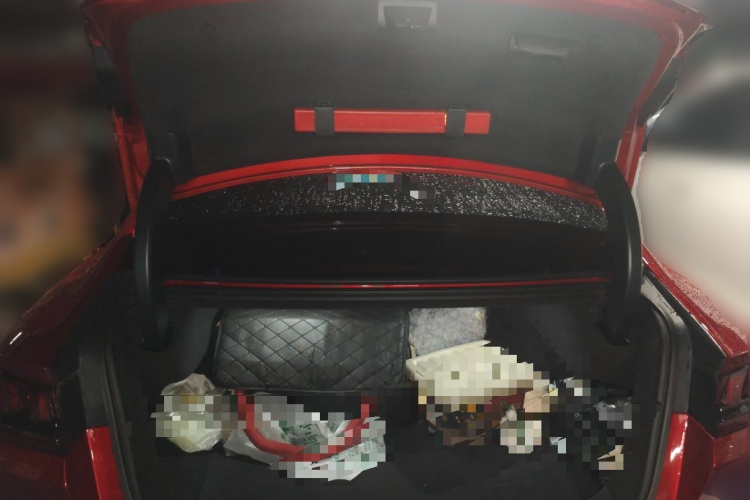 BYD Han 2020 car image #21
