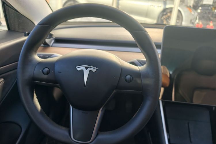 Tesla Model 3 2020 car image #9