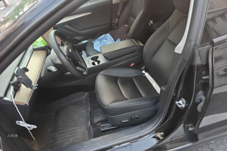 Tesla Model 3 2022 car image #17