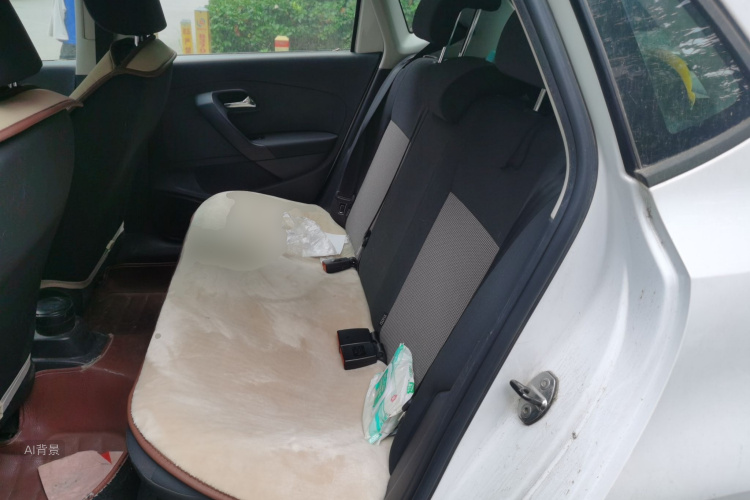 Volkswagen Polo 2016 car image #19