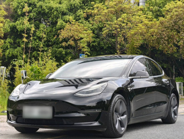 Tesla Model 3 2020 Tesla Model 3 2020 car image
