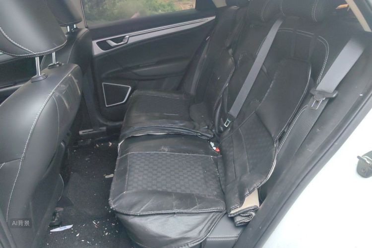 GEELY Emgrand GL 2019 car image #19