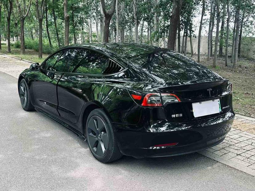 Tesla Model 3 2020 car image #4