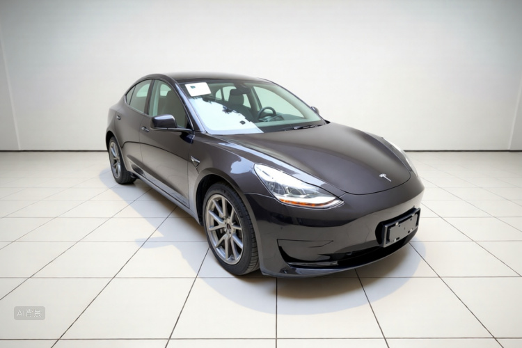 Tesla Model 3 2021 car image #4