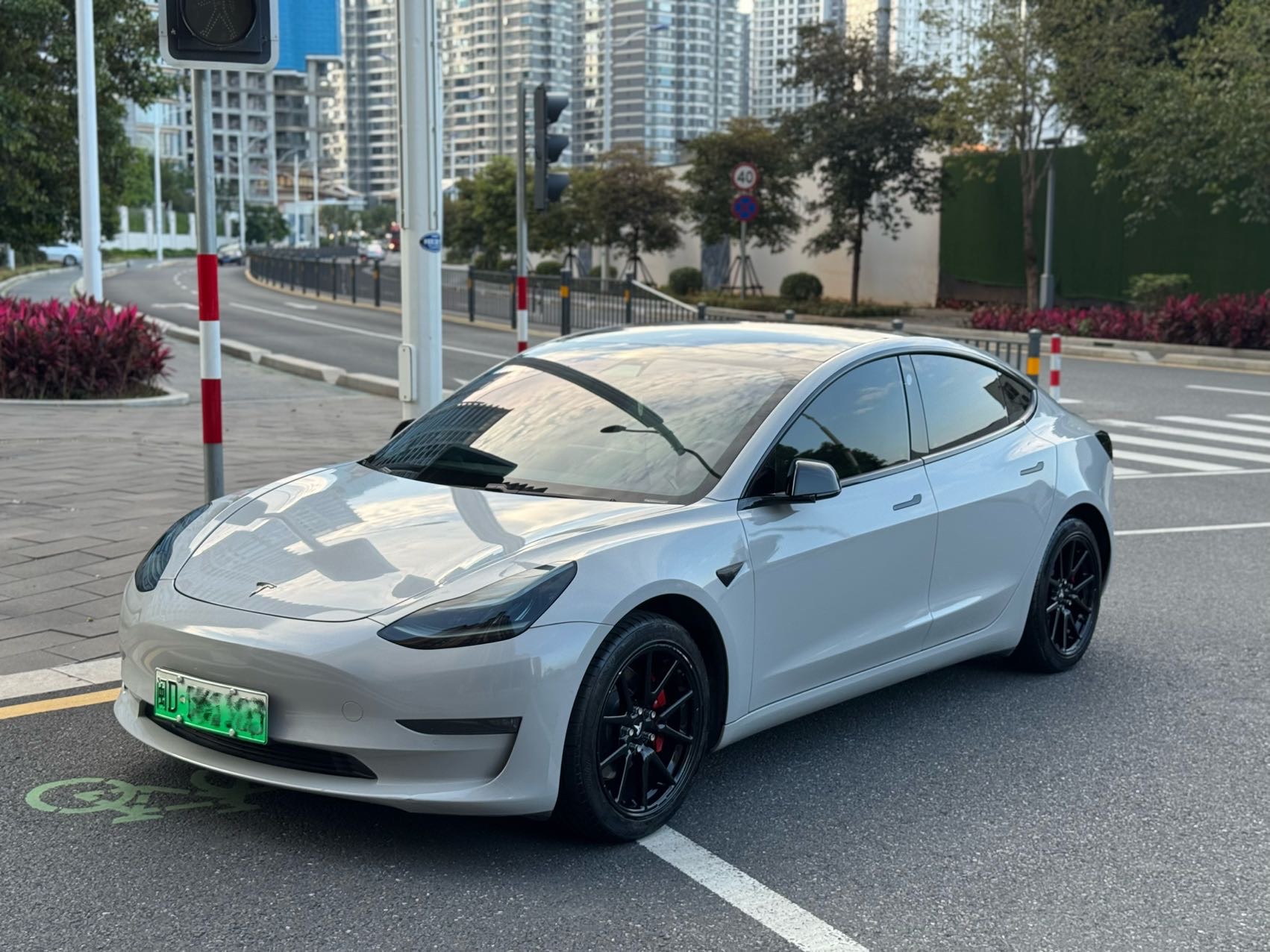 Tesla Model 3 2020 Tesla Model 3 2020 car image