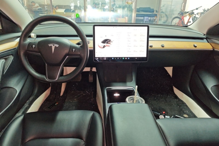 Tesla Model 3 2021 car image #10