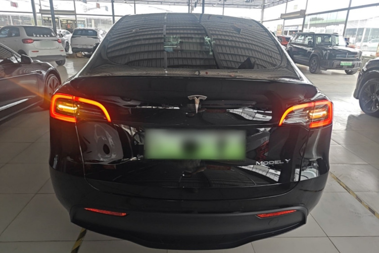 Tesla Model Y 2021 car image #6