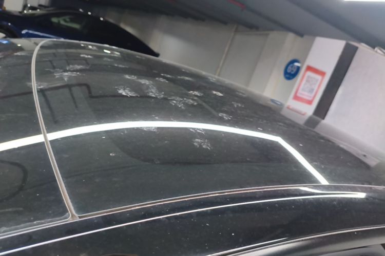 Tesla Model Y 2023 car image #25