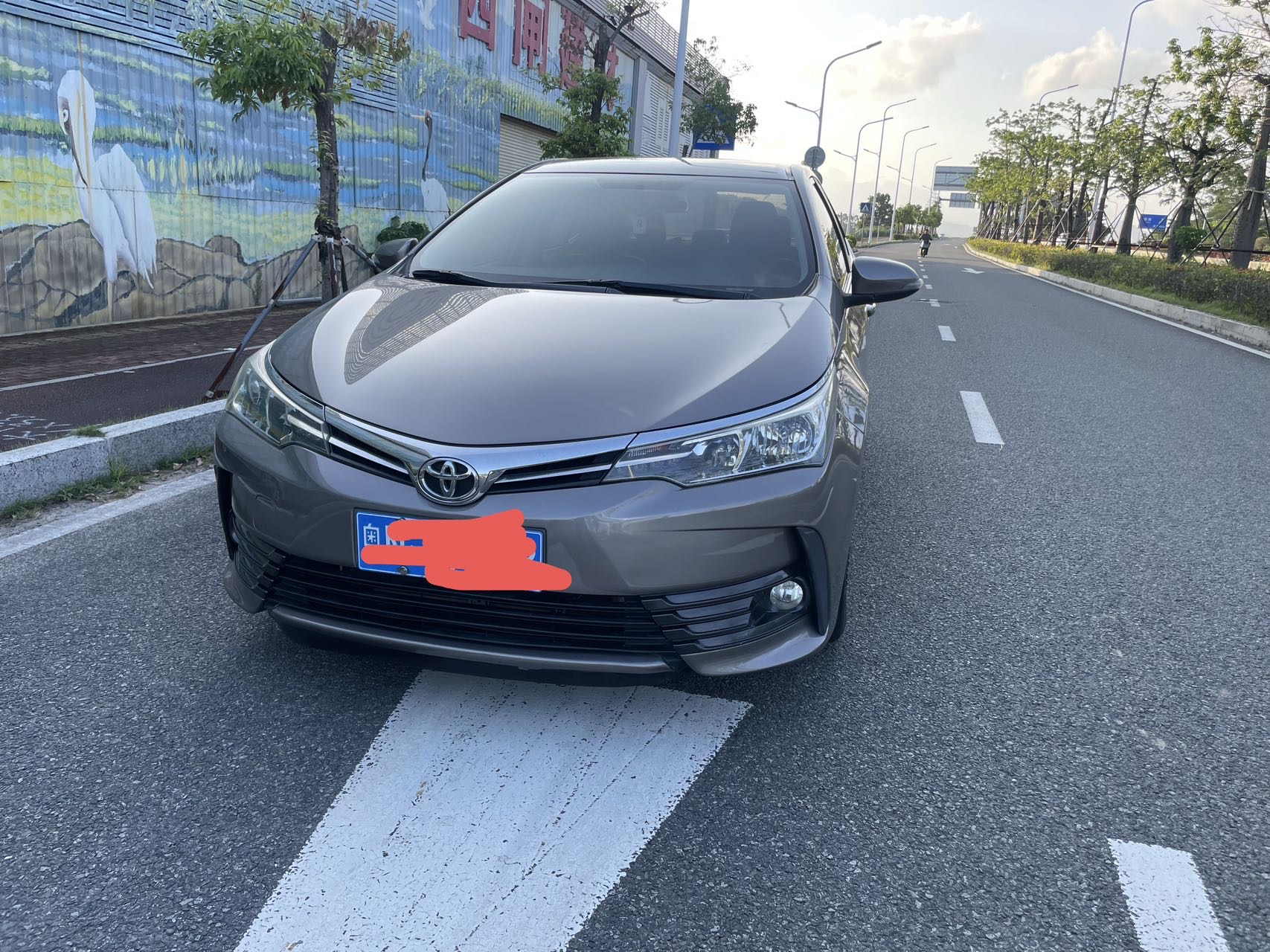 Toyota Corolla 2019 car image 