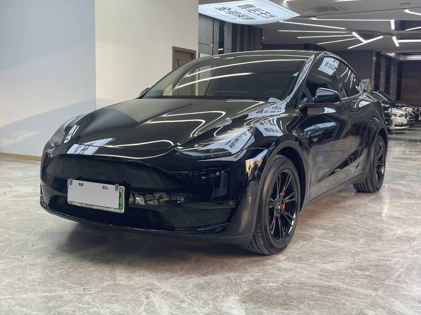 Tesla Model Y 2021 car image 