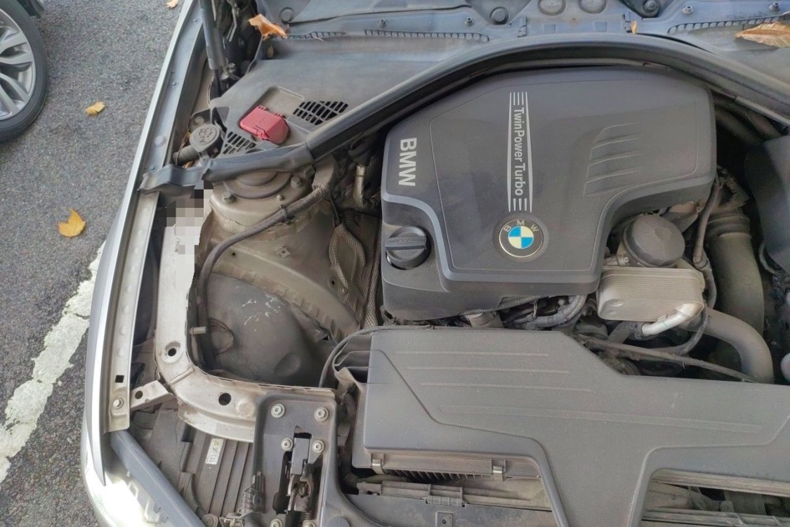 BMW 3 Series 2014 car image #11