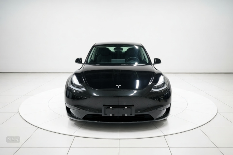 Tesla Model Y 2021 car image #3
