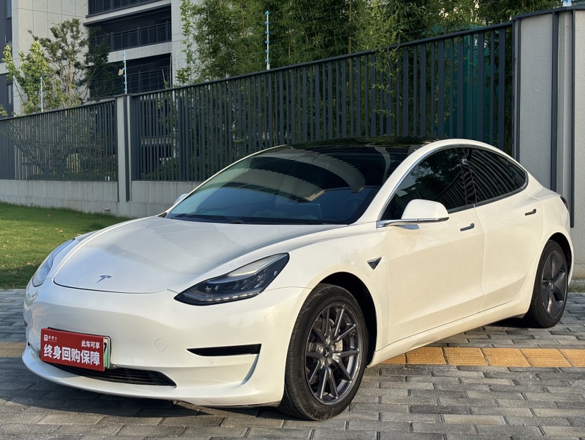 Tesla Model 3 2020 Tesla Model 3 2020 car image