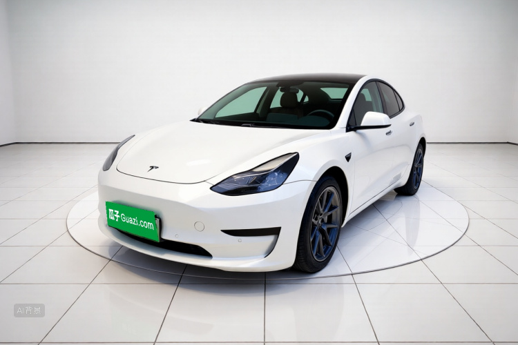 Tesla Model 3 2021 car image #2