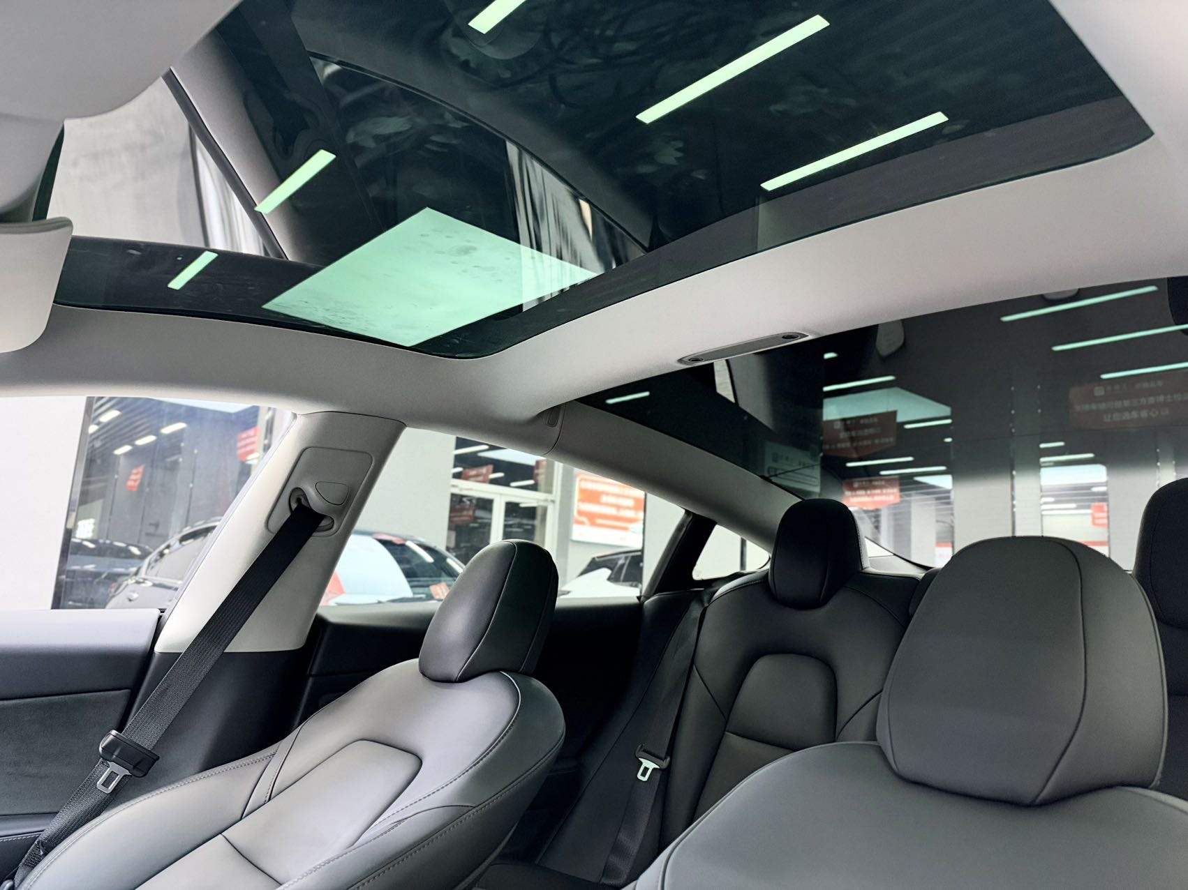 Tesla Model 3 2021 #9 Tesla Model 3 2021 car image #9