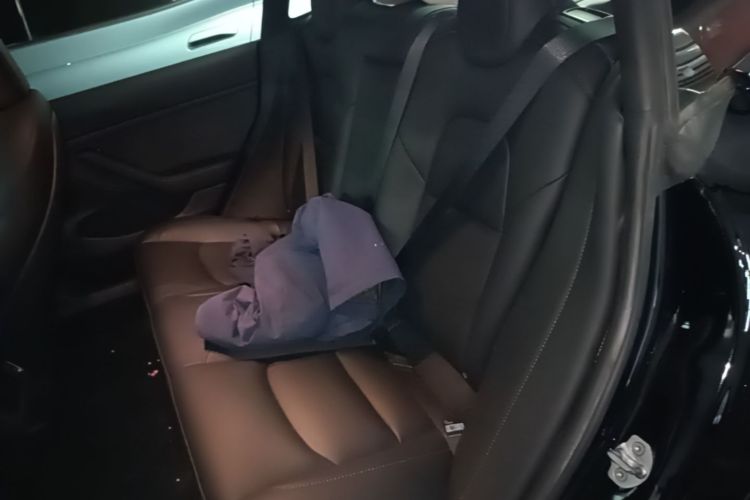 Tesla Model 3 2023 #13 Tesla Model 3 2023 car image #13