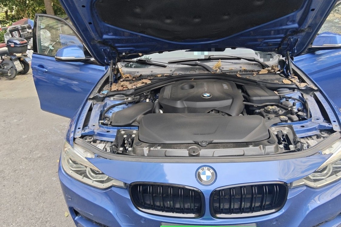 BMW 3 Series 2017 imagem de carro #11