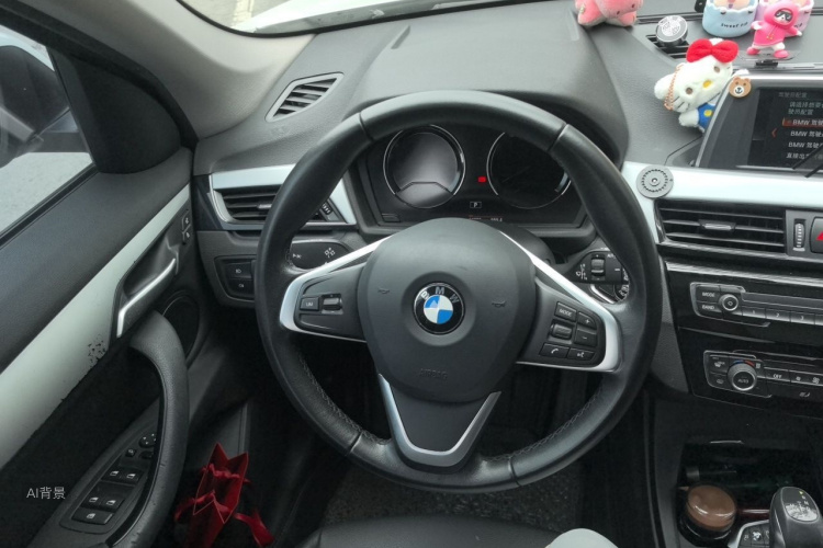 BMW X1 2018 car image #12