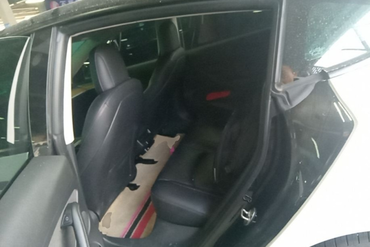 Tesla Model 3 2021 car image #17