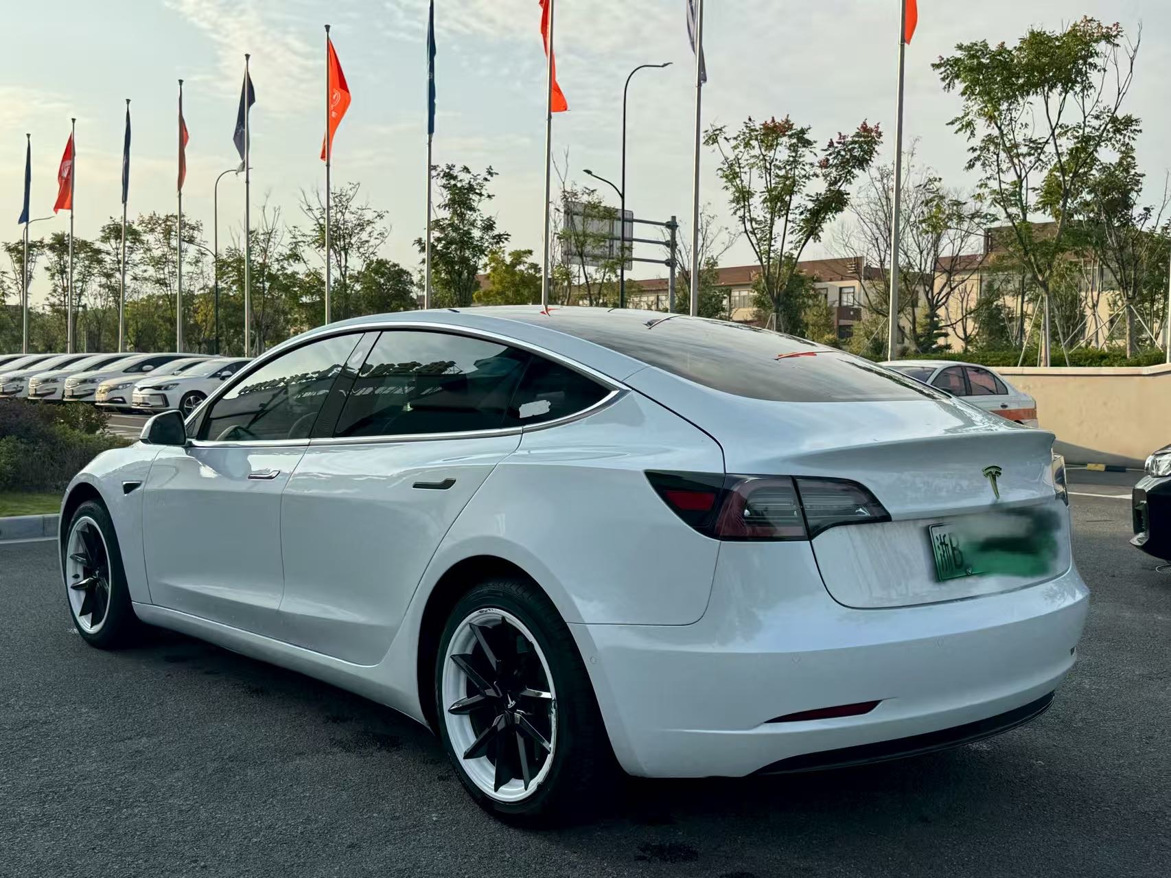 Tesla Model 3 (Imported) 2019 #9 Tesla Model 3 (Imported) 2019 imagen de coche #9