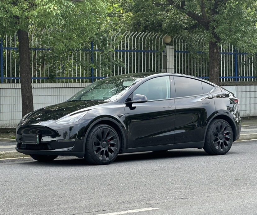 Tesla Model Y 2021 Tesla Model Y 2021 car image