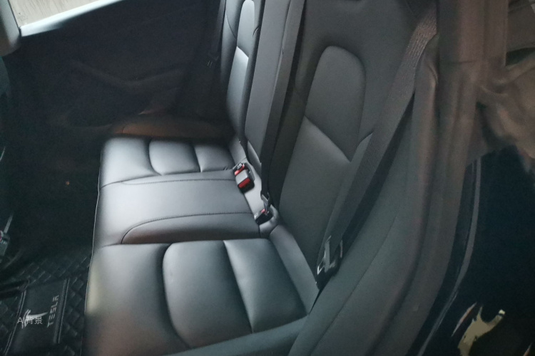 Tesla Model 3 2020 car image #19