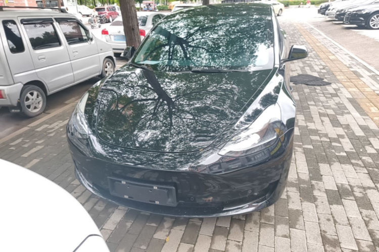 Tesla Model 3 2022 #3 Tesla Model 3 2022 car image #3
